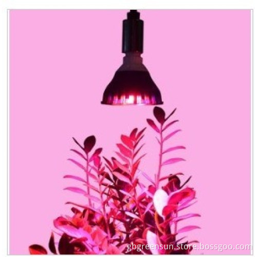 36W Full Spectrum PAR38 LED Grow Light
